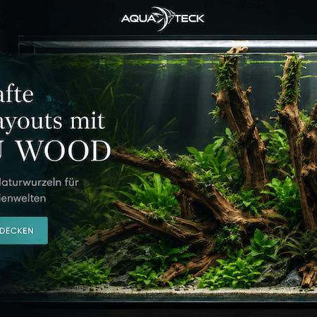 Traumhafte Beckenlayouts mit XINGU WOOD