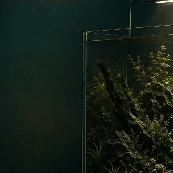 Beleuchtetes Aquascape mit Wurzelholz und Pflanzen unter einer AQUA TECK LED-Leuchte, Werbebanner „Ihr Aquarium verdient ein gscheites Licht“