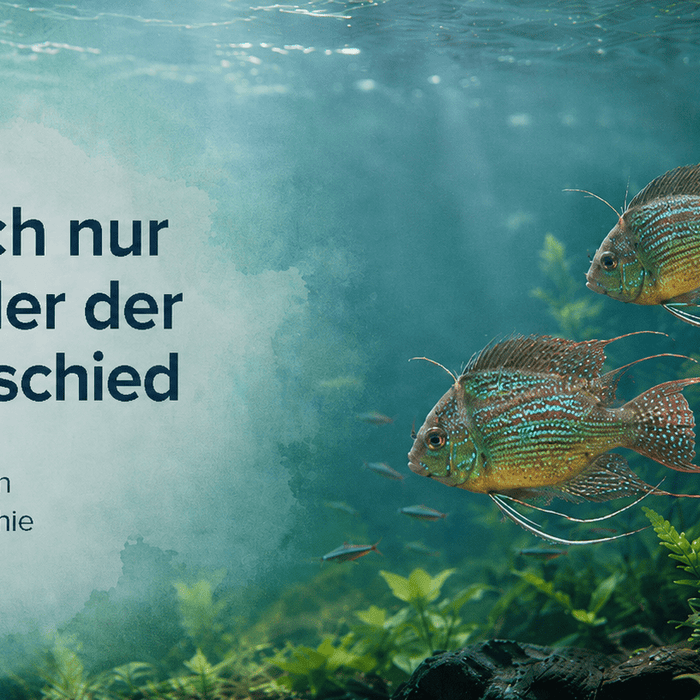 Es sind doch nur Fische - oder der feine Unterschied