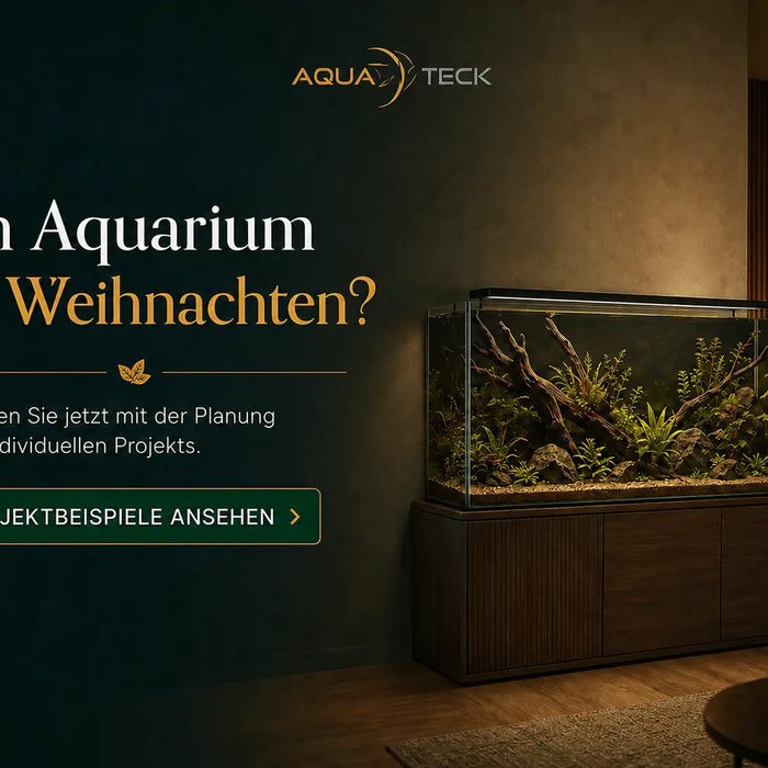 Aquateck Banner „Ein Aquarium zu Weihnachten?" mit beleuchtetem Aquascape-Aquarium auf dunklem Sideboard