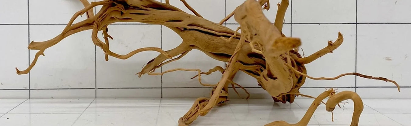Verzweigte Red-Moor-Wurzel (Spiderwood) als Aquarium-Dekoholz mit feinen, hellbraunen Ästen