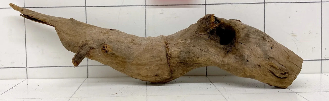 Länglicher Wurzelast aus naturbelassenem Holz für Aquarium-Deko, graubraun mit Astloch und rissiger Oberfläche