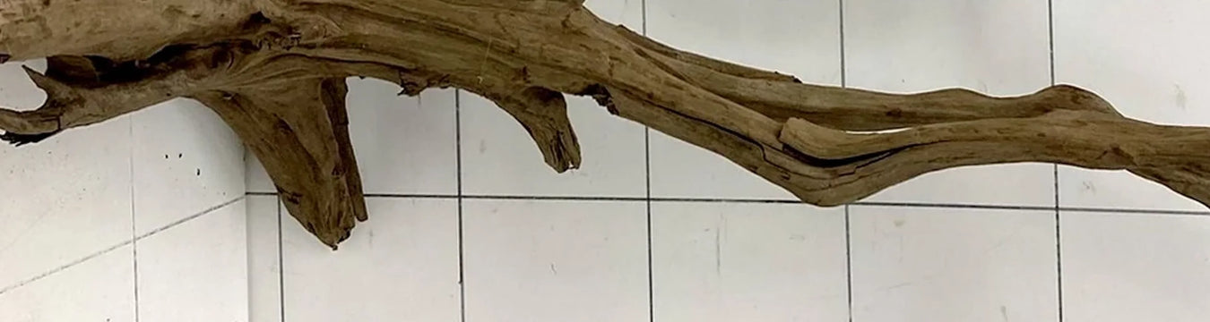 Ausschnitt einer Aquarium-Wurzel aus naturbelassenem Holz mit nach unten ragenden Seitenästen und rissiger Maserung