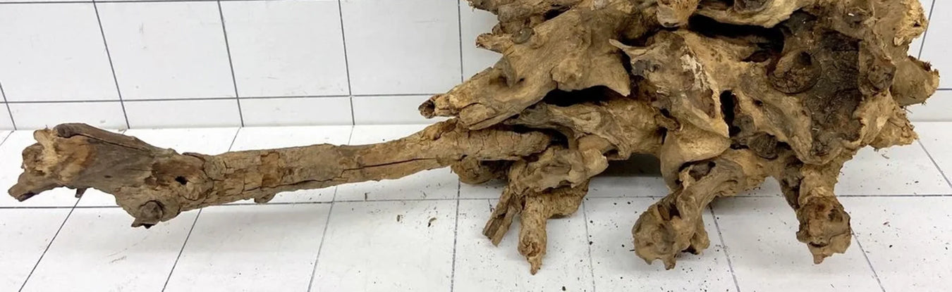 Samoa Wurzelholz für Aquarium und Terrarium mit knorrigem Wurzelstock und langem Ast, Unikat 60923 S