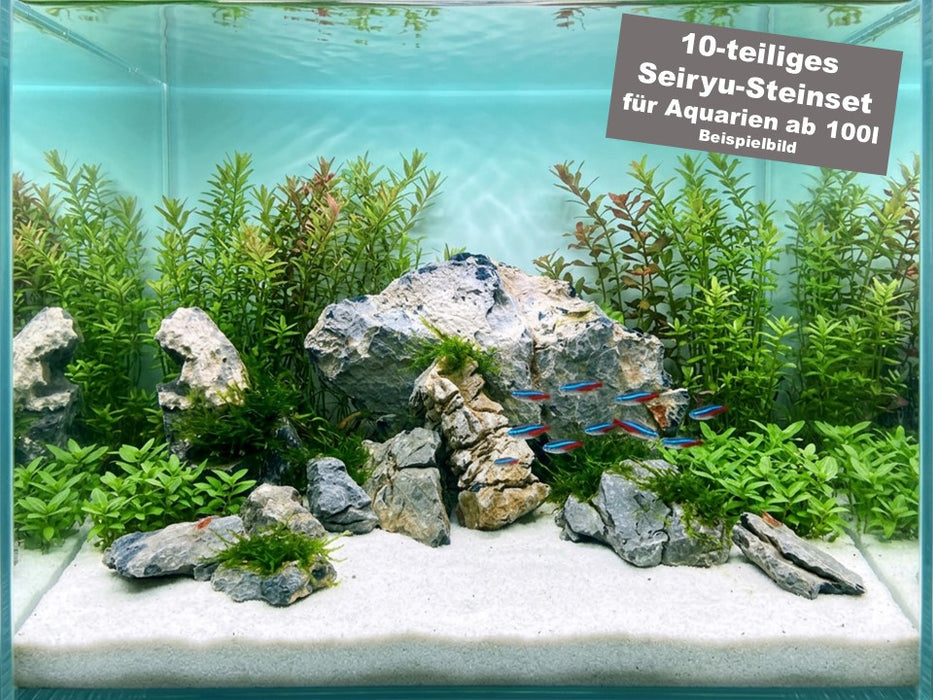 Seiryu Rock Steine-Set für 100l Aquarium
