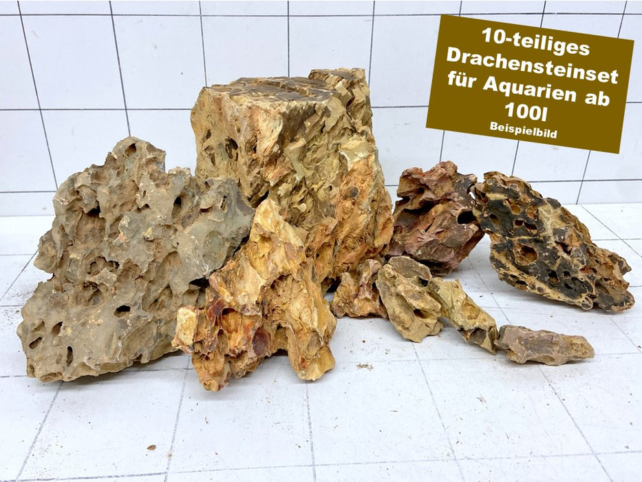 Drachenstein-Set für 100l Aquarium