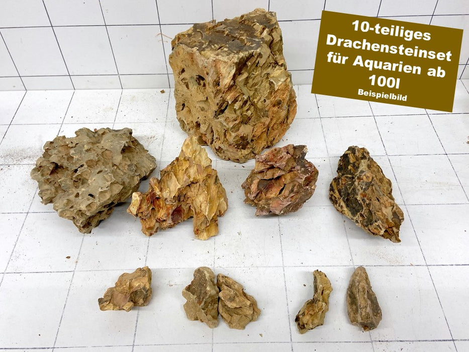 Drachenstein-Set für 100l Aquarium