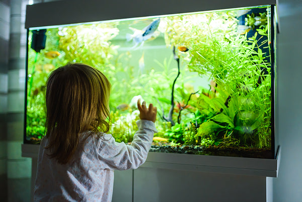 Kind vor Aquarium
