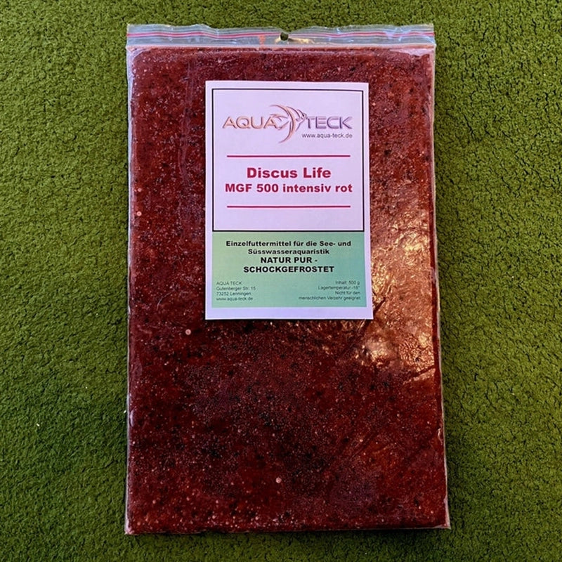Bestellen Sie unsere Frostfutter Blister aus Artemia, Mückenlarven, Cyclops, etc. 