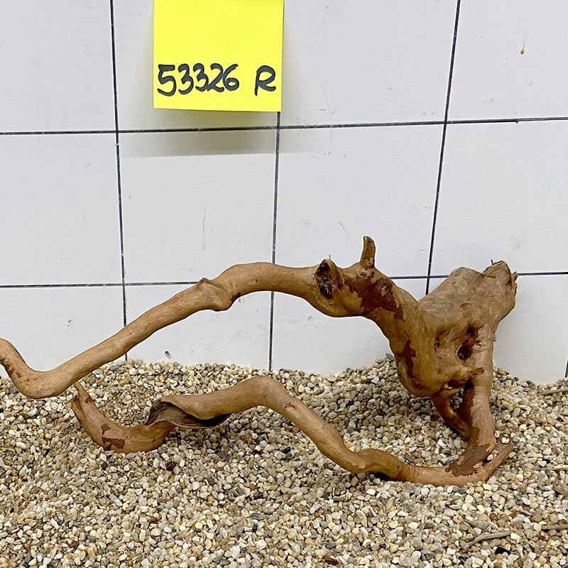 Fingerwood Rote Moorwurzel, geschwungenes Aquarium-Wurzelholz auf Kiesboden