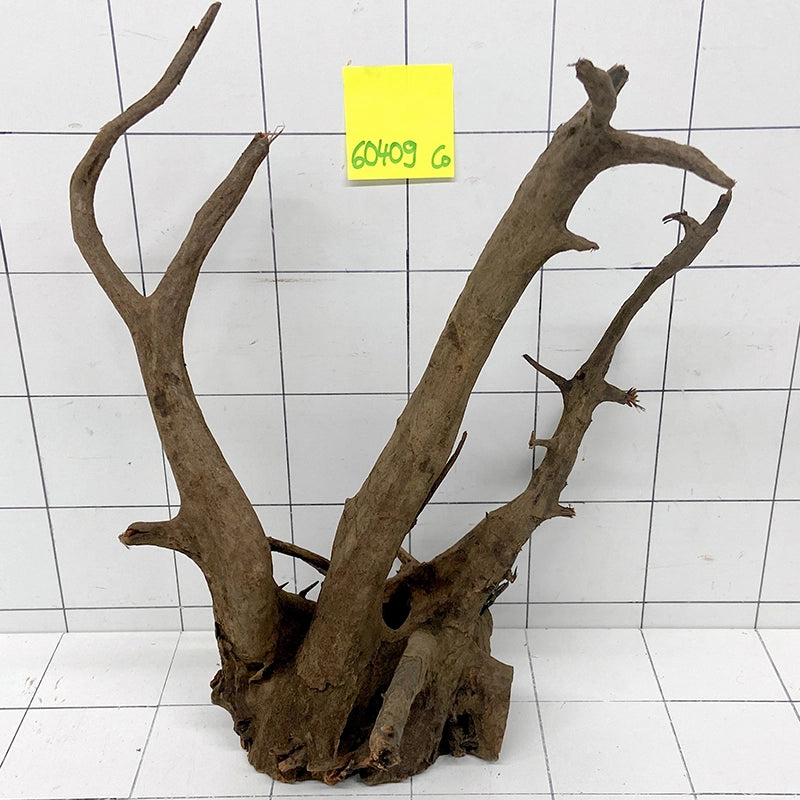 Corbo Wurzelholz XL für Aquarien mit verzweigten Ästen, Artikel 60409CO