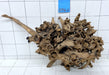 60916S Samoa Wurzel Holz XL