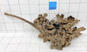 60916S Samoa Wurzel Holz XL