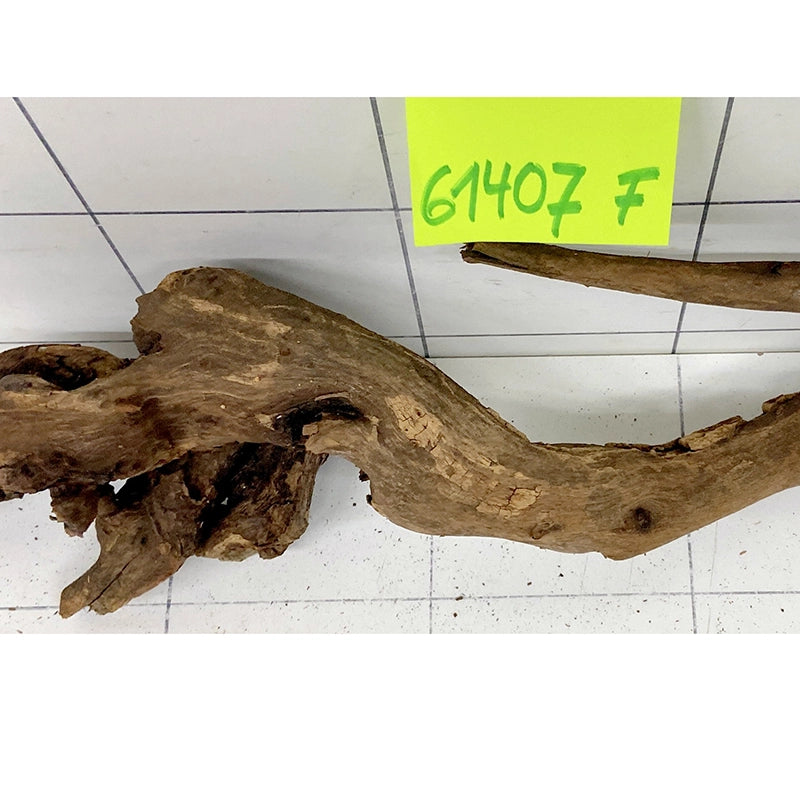 Flussholz Driftwood Flusswurzel, langgestrecktes Aquarium-Wurzelholz mit Astgabelung