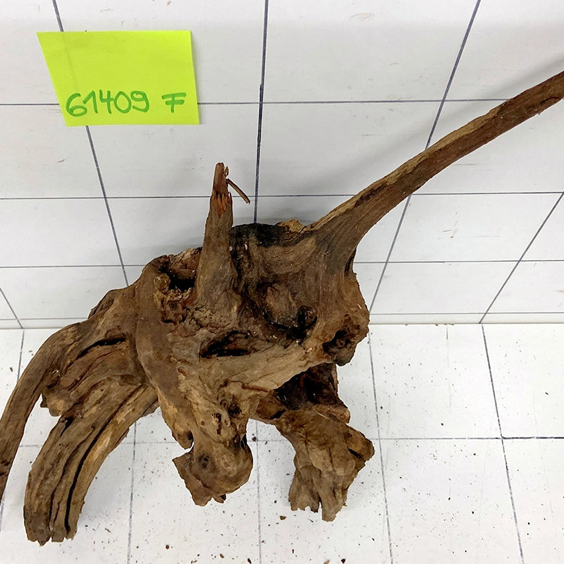 Flussholz Driftwood Flusswurzel mit kompaktem Wurzelstock und langem Ausleger