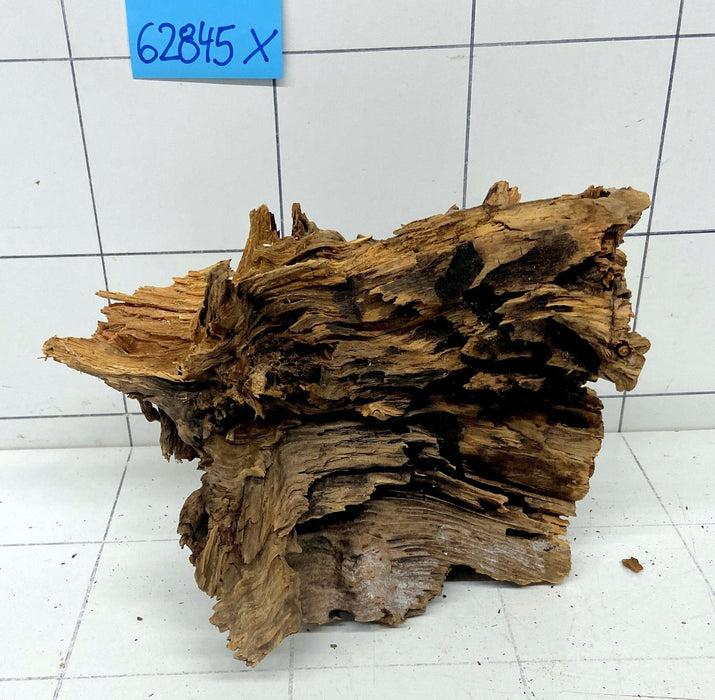 62845X - XINGU Wood Wurzelholz