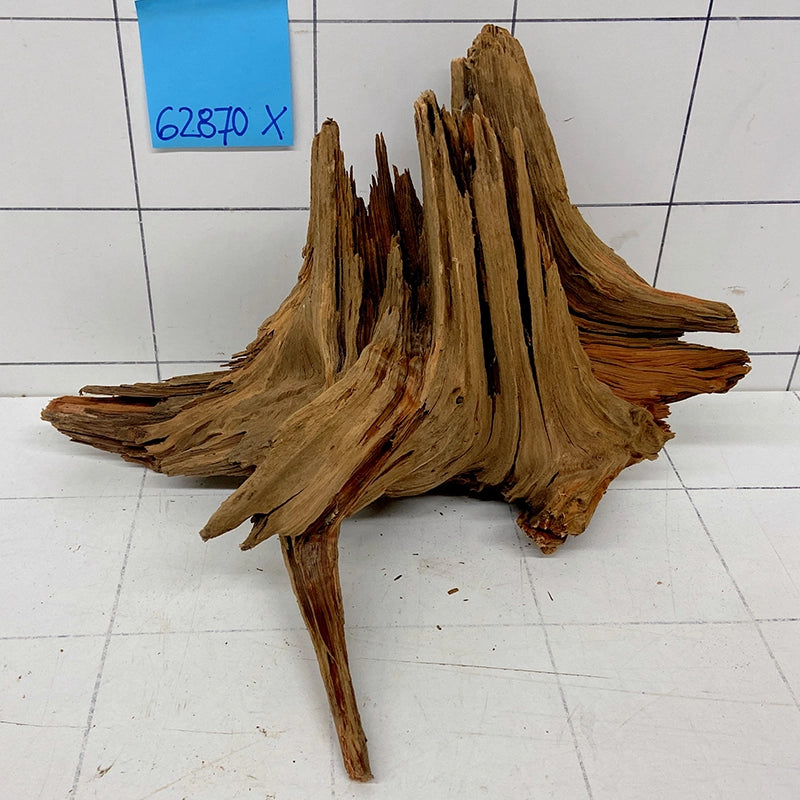 Xingu Wood Wurzelholz mit geschnittener Grundfläche für Aquarien, Artikel 62870X