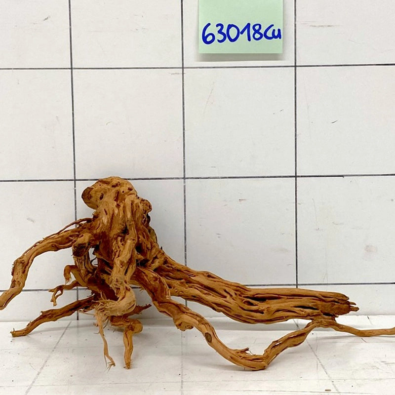 Curlwood Wurzelholz für Aquarien mit verzweigten Ästen, Artikel 63018Cu