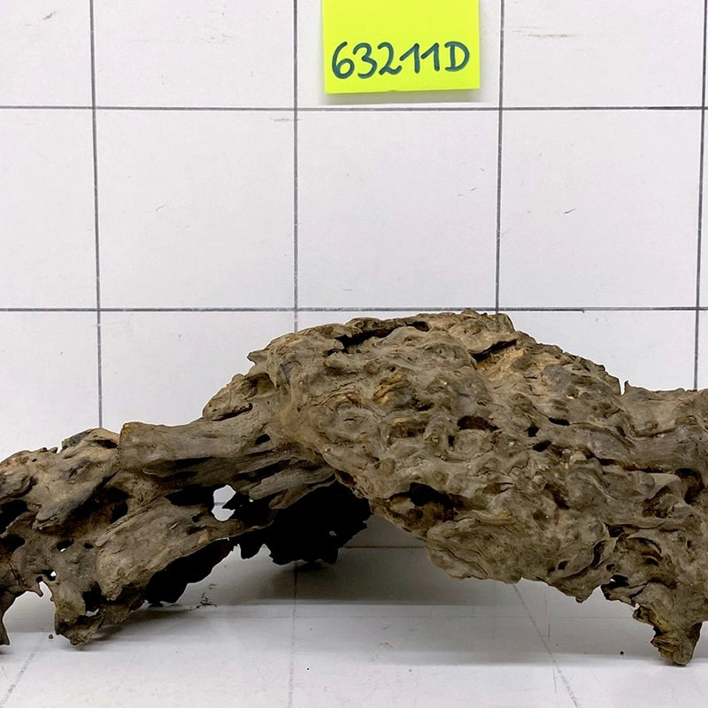 Drachenholz Dragonwood für Aquarien mit vielen Löchern, Artikel 63311D