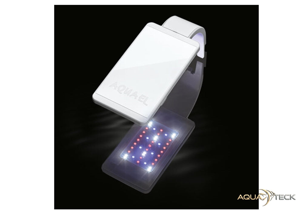 AQUAEL LEDDY SMART 4,8W Sunny Day&Night weiß aqua-teck