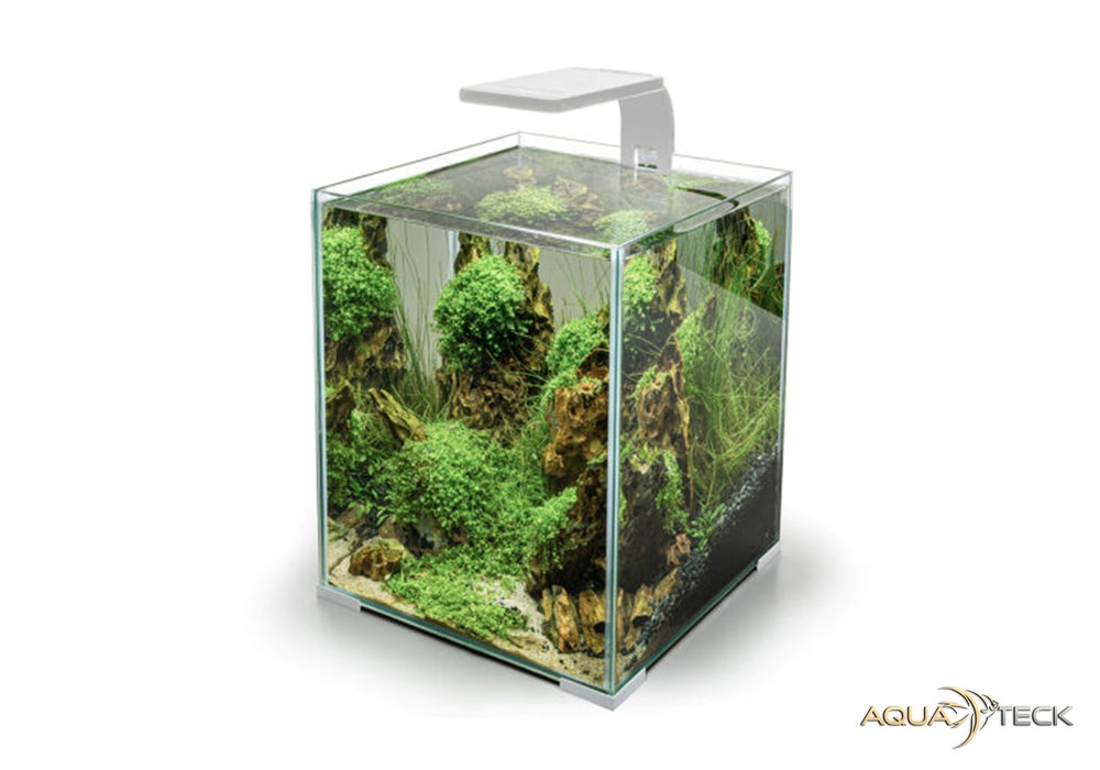 AQUAEL LEDDY SMART 4,8W Sunny Day&Night weiß aqua-teck