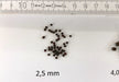 AQUA TECK POWER STIXX Gr. 1 2,5 mm Alleinfutter 175g aqua-teck