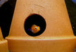 Agassizi Zwergbuntbarsch 'fire red' - Apistogramma agassizii 'fire red'