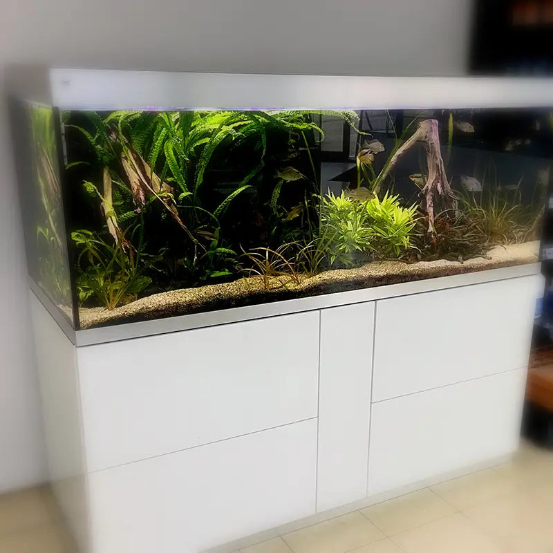 Aquarium Kaufen