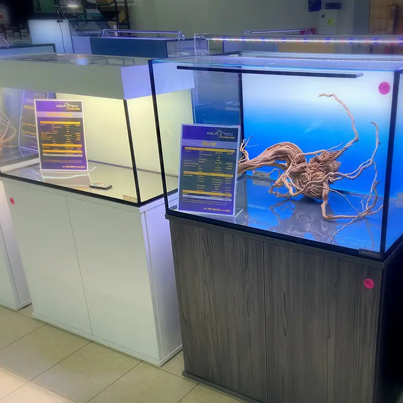 Aquarium Shop