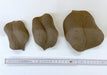 Blatt aus Keramik Gr. 1