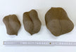 Blatt aus Keramik Gr. 2 aqua-teck