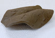 Blatt aus Keramik Gr. 2 aqua-teck