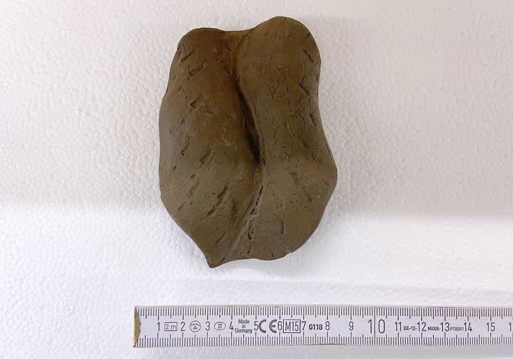Blatt aus Keramik Gr. 2 aqua-teck
