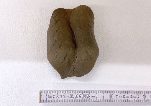 Blatt aus Keramik Gr. 2 aqua-teck