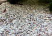 Naturkies Malibu Mix (1-2 mm)