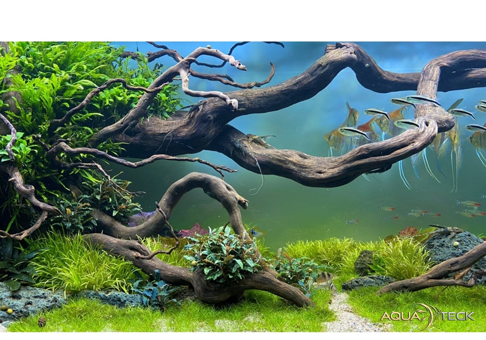 Daytime matrix PRO-Modul SunLike-Color PRO-SLC aqua-teck