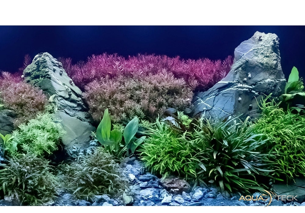 Daytime matrix PRO-Modul SunLike-Color PRO-SLC aqua-teck
