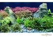 Daytime matrix PRO-Modul SunLike-Neutral PRO-SLN aqua-teck