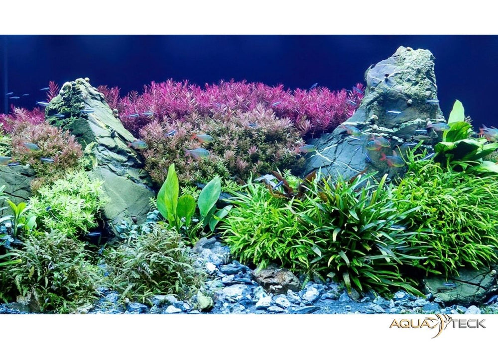 Daytime matrix PRO-Modul SunLike-Ultra PRO-SLU aqua-teck