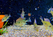 Svens Erdfresser M "Rio Araguaia" - Geophagus sveni aqua-teck