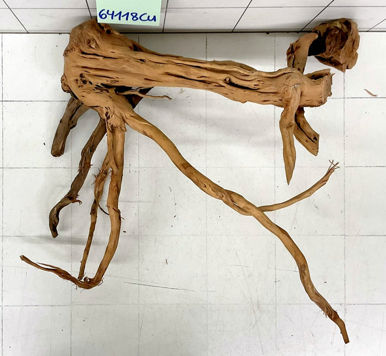 64118Cu - Curlwood Wurzel Holz