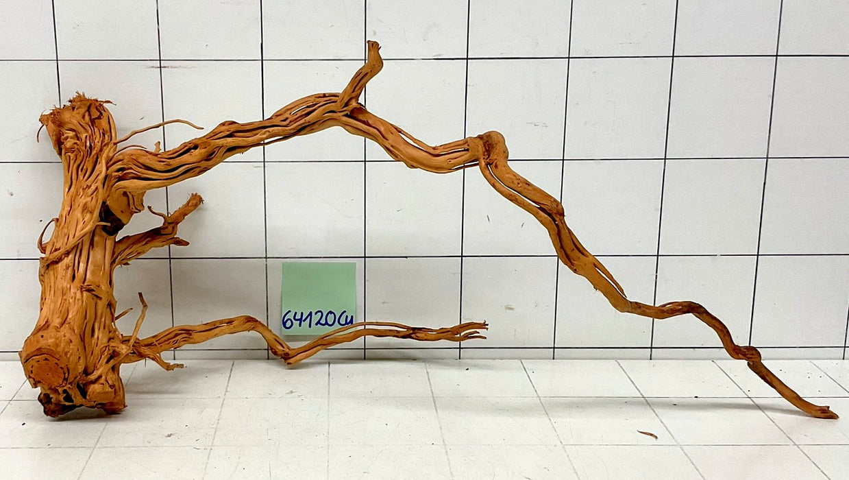 64120Cu - Curlwood Wurzel Holz