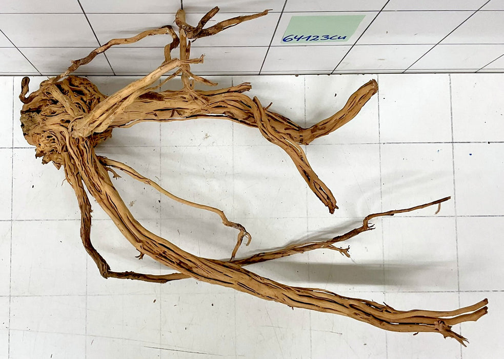 64123Cu - Curlwood Wurzel Holz
