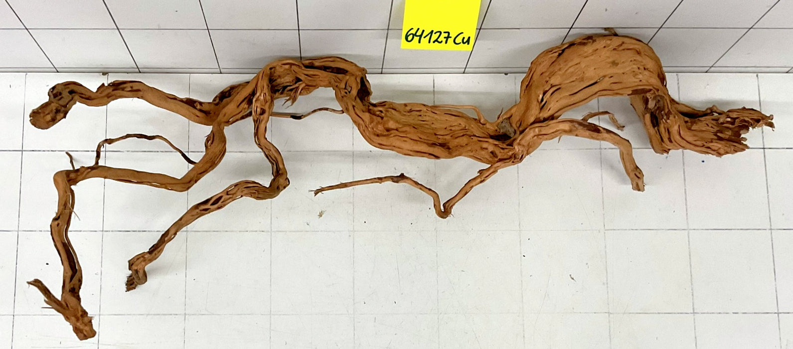 64127Cu - Curlwood Wurzel Holz