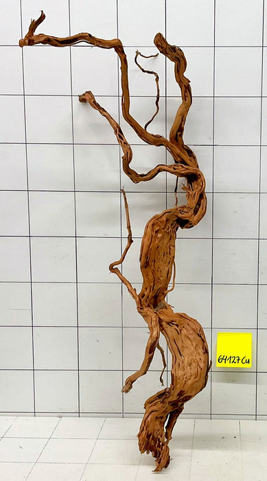 64127Cu - Curlwood Wurzel Holz