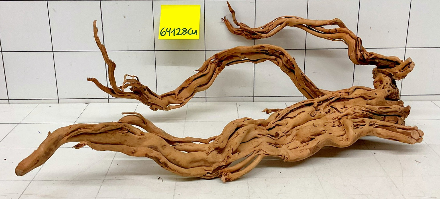 64128Cu - Curlwood Wurzel Holz