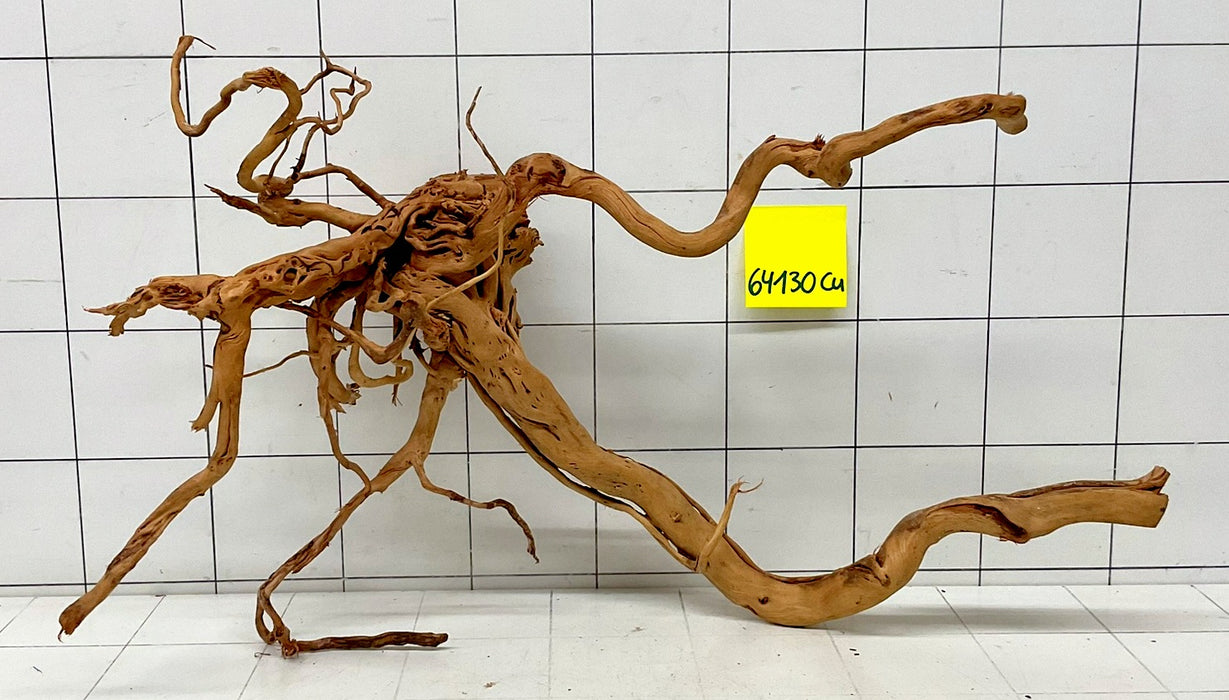 64130Cu - Curlwood Wurzel Holz