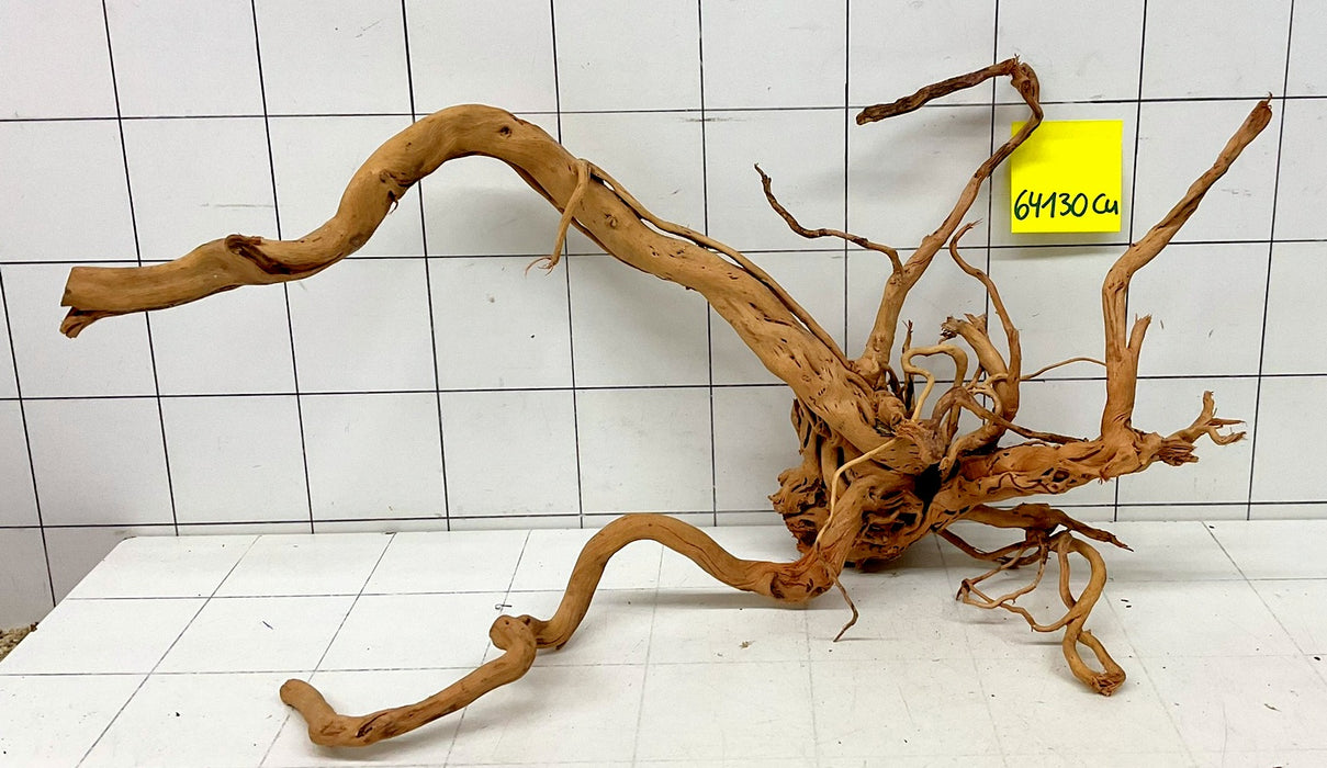 64130Cu - Curlwood Wurzel Holz