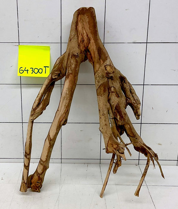 64300T Talawa Wurzel Holz