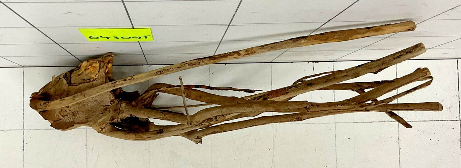 64309T Talawa Wurzel Holz